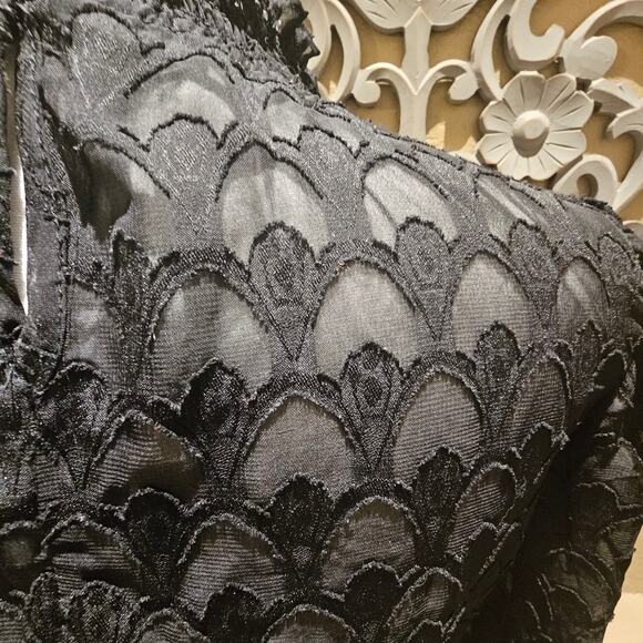 Blāshe L Gothic Dark Academia Lace Blouse Romantic Victorian Sheer Ruffle Top - Picture 13 of 14